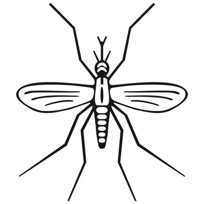 Natural Bug Repellant