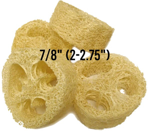 Loofah Slices, Regular 7/8" Thick 2-2.75"