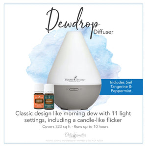 Dewdrop Diffuser Bundle