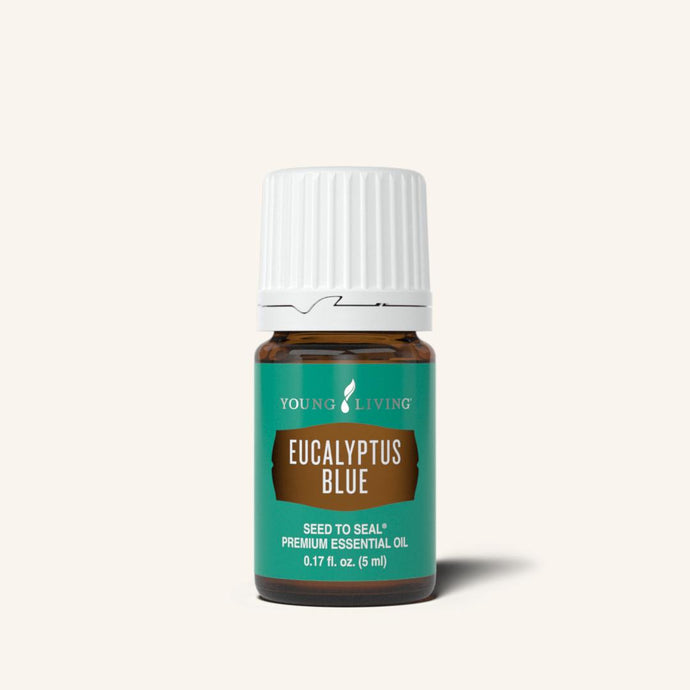 Eucalyptus Blue Essential Oil, 5ml Young Living YL 3597
