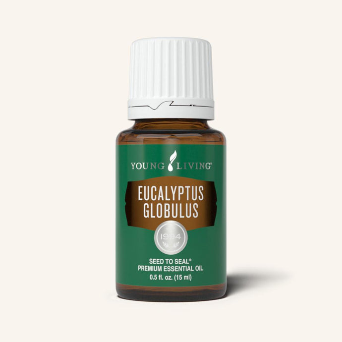 Eucalyptus Globulus Essential Oil, Young Living YL 3539