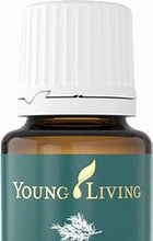 Load image into Gallery viewer, Rosemary Essential Oil by Young Living, YL 3626