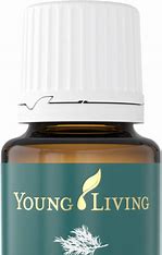 Rosemary Essential Oil by Young Living, YL 3626