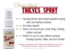 Load image into Gallery viewer, Thieves Spray 1 fl. oz, Young Living YL 3266
